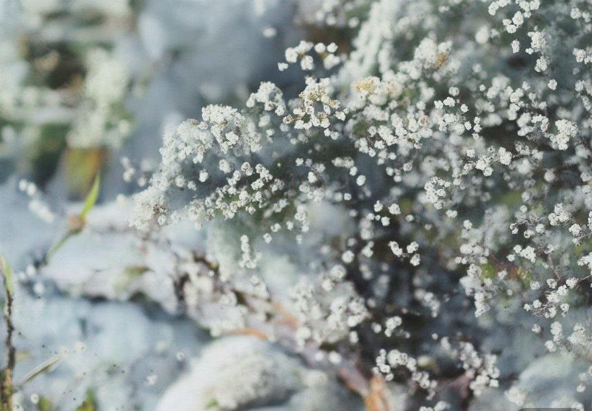 北环直播：申花对建业足球盛宴精彩瞬间回顾(图3)