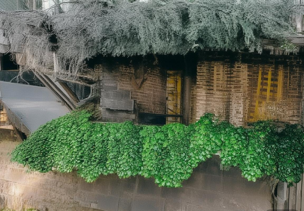 法国女足VS韩国队：焦点对决背后的激情与魅力(图2)